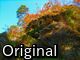 Original