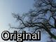 Original